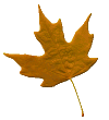 brnleaf