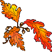 leaves2