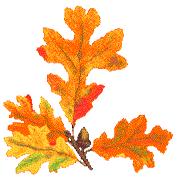 oakleaves