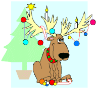 reindeer