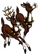 reindeer1